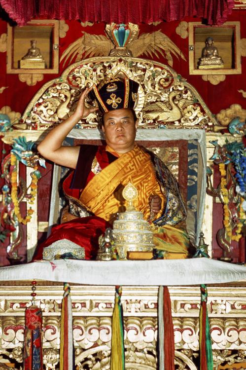 ::Our center provides a relaxed environment for bright minds to explore Buddha